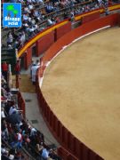 Plaza de toros. Valencia, Comunidad Valenciana